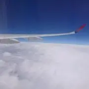 わっしょいの画像