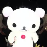 たまの画像