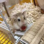 なそら