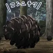 松ぼっくり