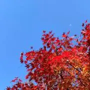 mrcrtokyoの画像