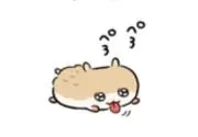 Tanpopoの画像