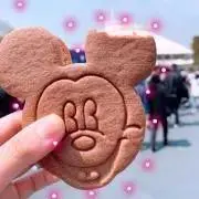ナンの画像