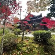 Oryoの画像