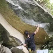 でんぐり返し