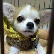 FUKUSUKE