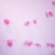 ゆきの