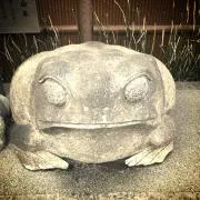 おいどんの画像
