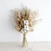 loulouの画像