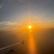 Sunnyの画像