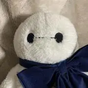 チョコの画像