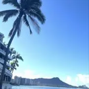 ともちんの画像