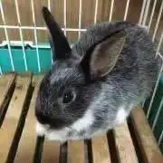 そらの画像