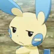 メの画像