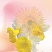 McCall⭐︎  お値引交渉即購入OKの画像