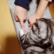 なりの画像