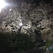 こまつ。の画像