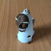 ヌシの画像