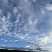 わらびもちの画像