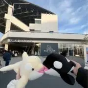 acha ‪‪❤︎‬ y.tの画像