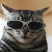 まひろ