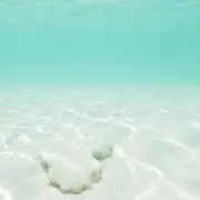 Ayamiの画像