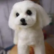 Teru mamの画像