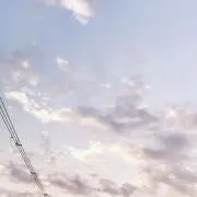 あーるの画像