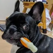 桃太郎