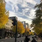 yuevの画像