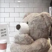 くまたの画像