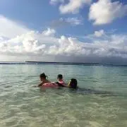 ちえの画像