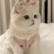 ほんの画像