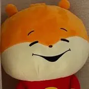 こむぎの画像