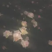 シースルートップス y2k itimi ロキエ フェアリーグランジ チャイナ 