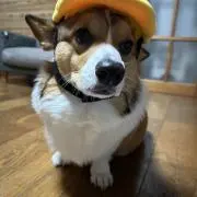 みぃ