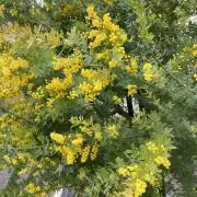 j 発送にお時間要しますの画像