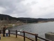 Cana お値段交渉◎の画像