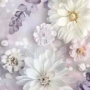 ＊hana＊の画像