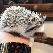 じゅんの画像