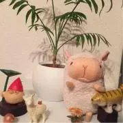 hiの画像