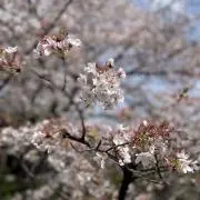 まるおの画像