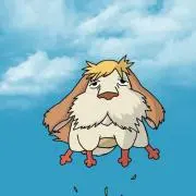 ひんの画像