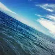 mymyの画像