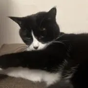 えめの画像