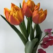さちまみ