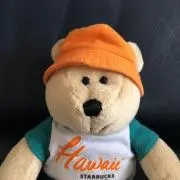 ピコの画像