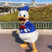 S⭐︎Y⭐︎Rの画像