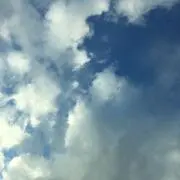 りんの画像