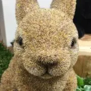 みり（プロフ読んでね）の画像